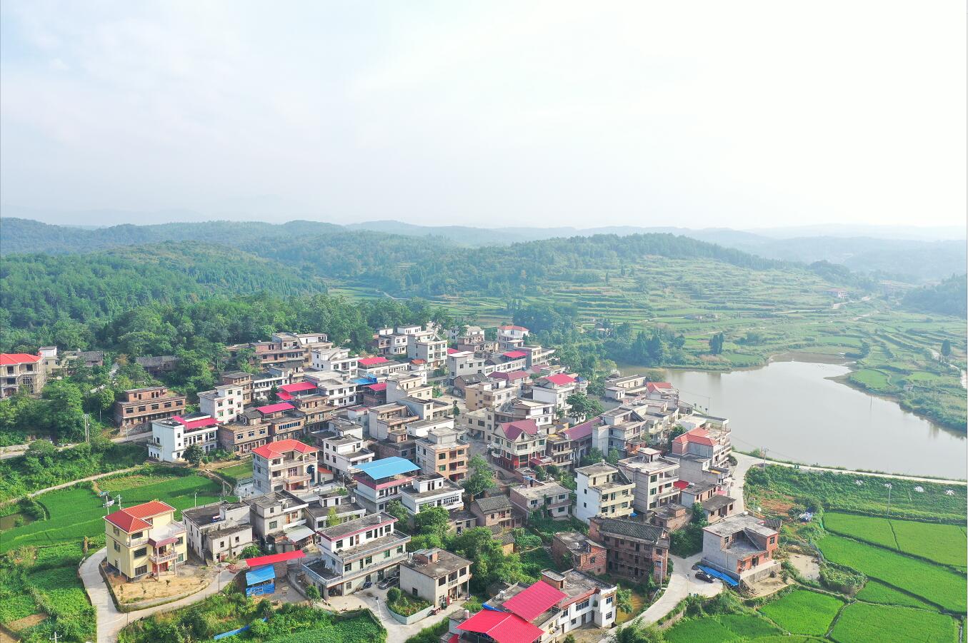 隆回白毛——桃园家乡